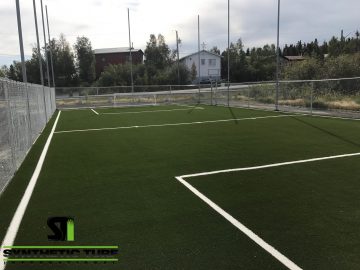 Sports Field Artificial Grass Application